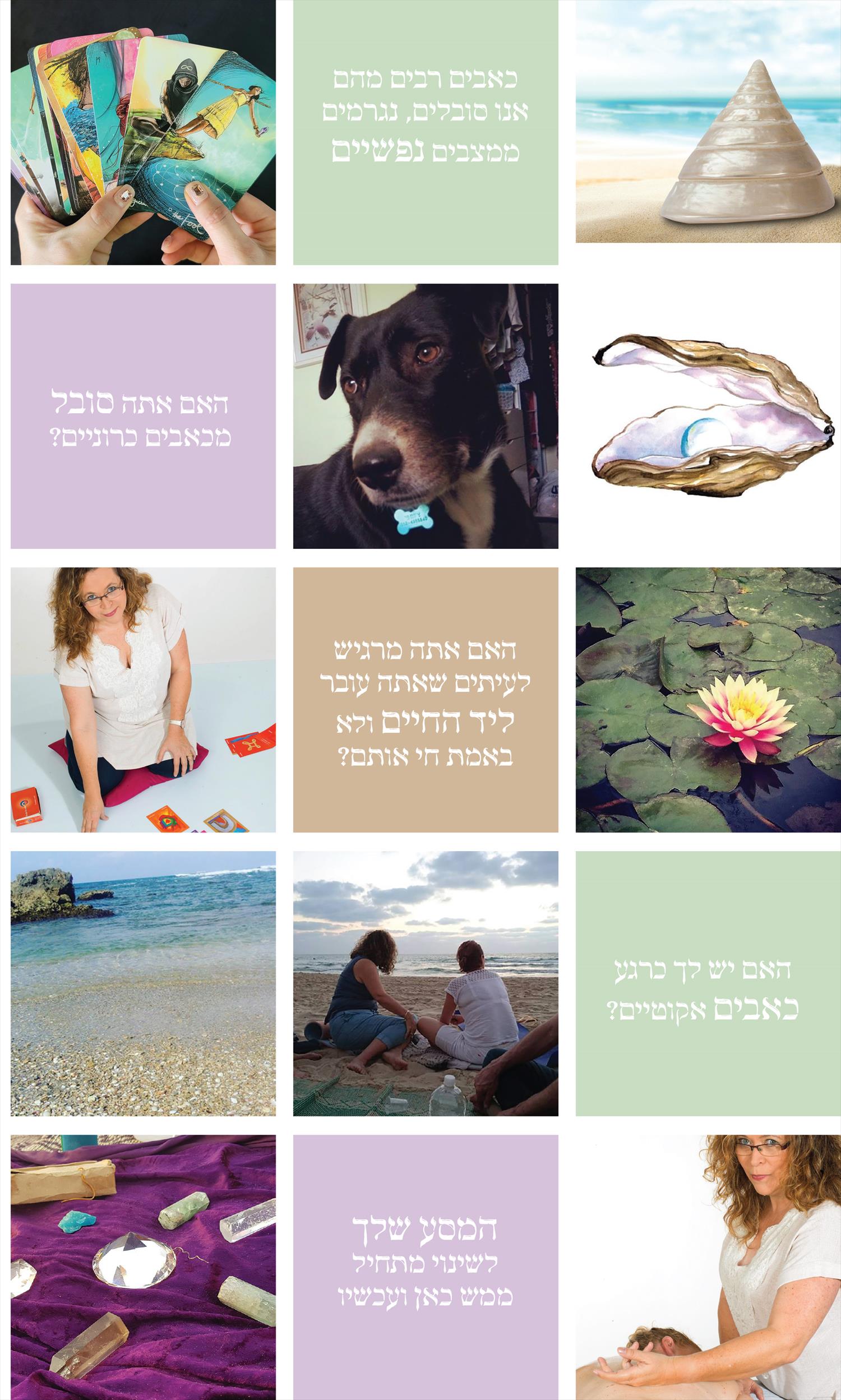 עיצוב פיד לאינסטגרם: אינסטה-פרפקט