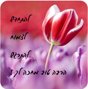 קורס וידאו "להיות בטוב" - כלים מעשיים להווה מיטבי