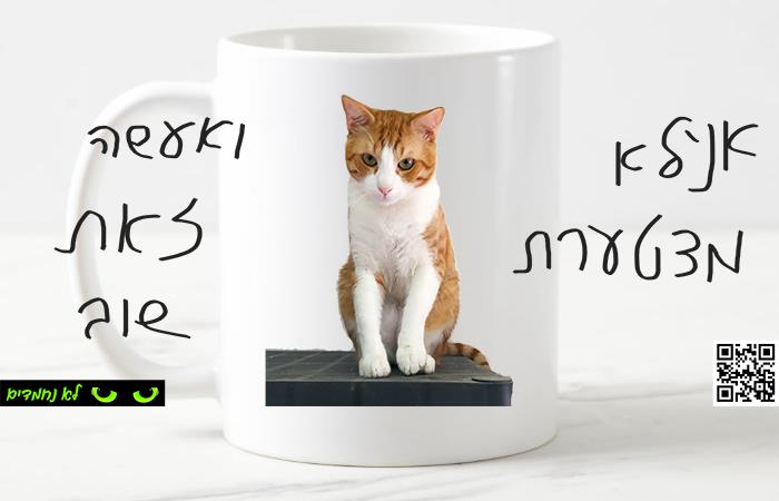 אנ'לא מצטערת ואעשה זאת שוב