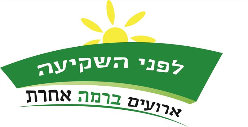 עיצוב לוגו יחודי