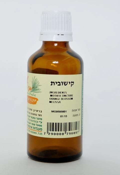 קישובית -לבעיות קשב וריכוז