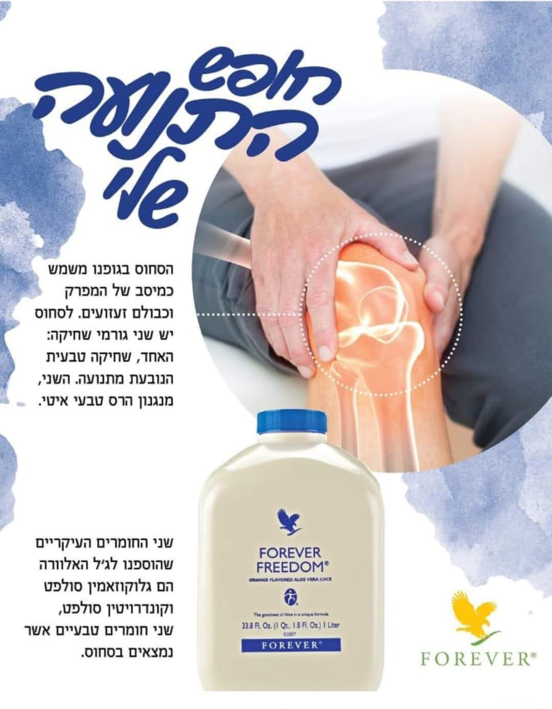 פרידום