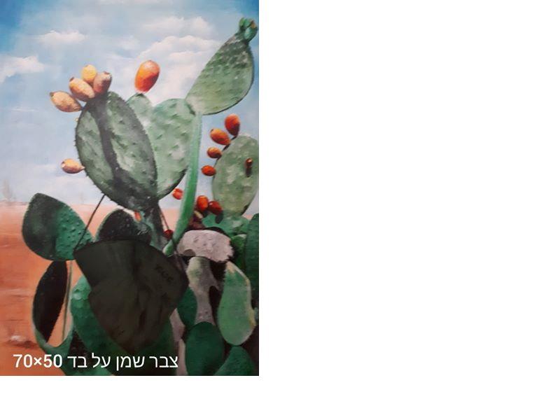 צבר 70X50