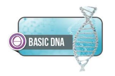 תטא הילינג קורס יסוד – Theta Healing Basic DNA