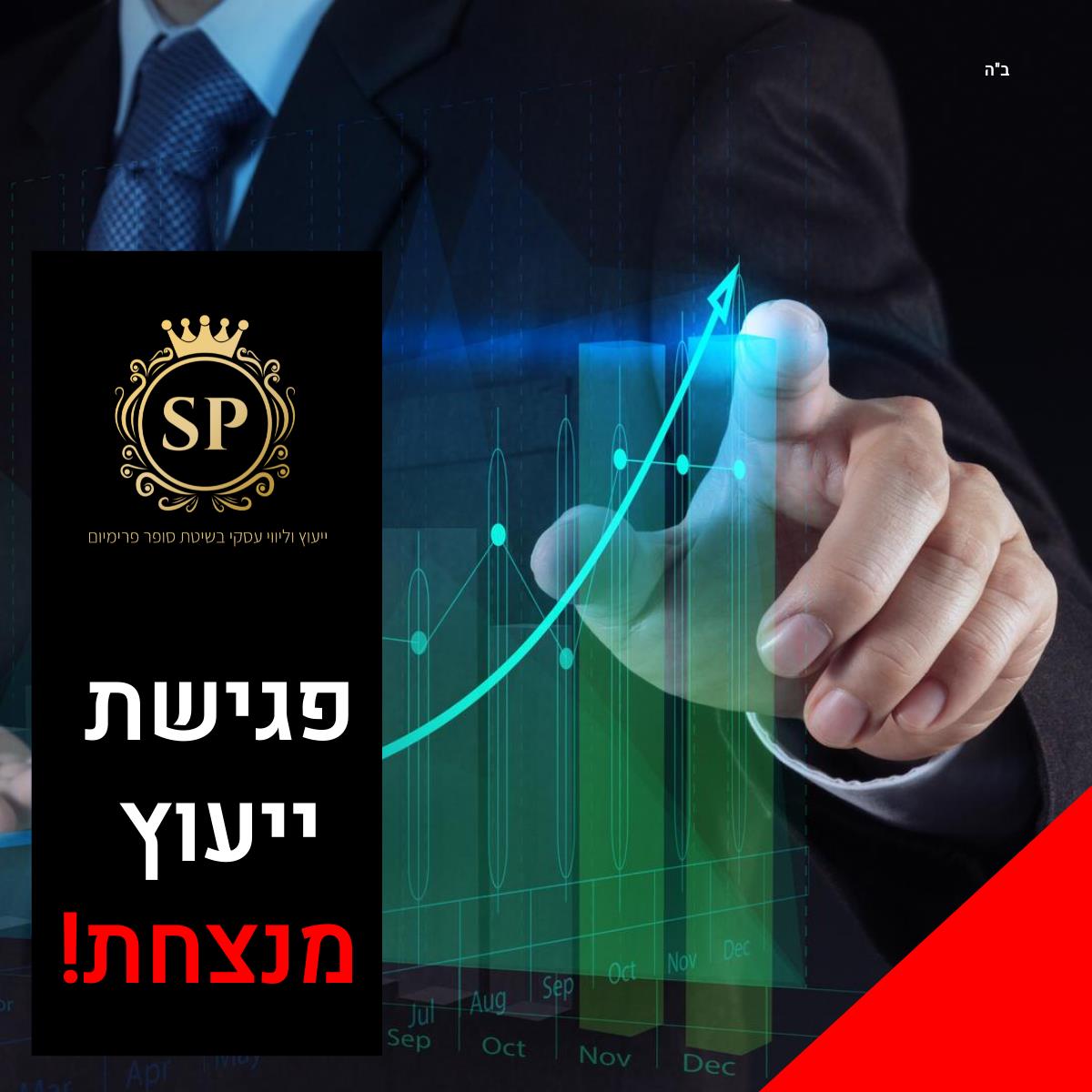 פגישת ייעוץ אסטרטגית