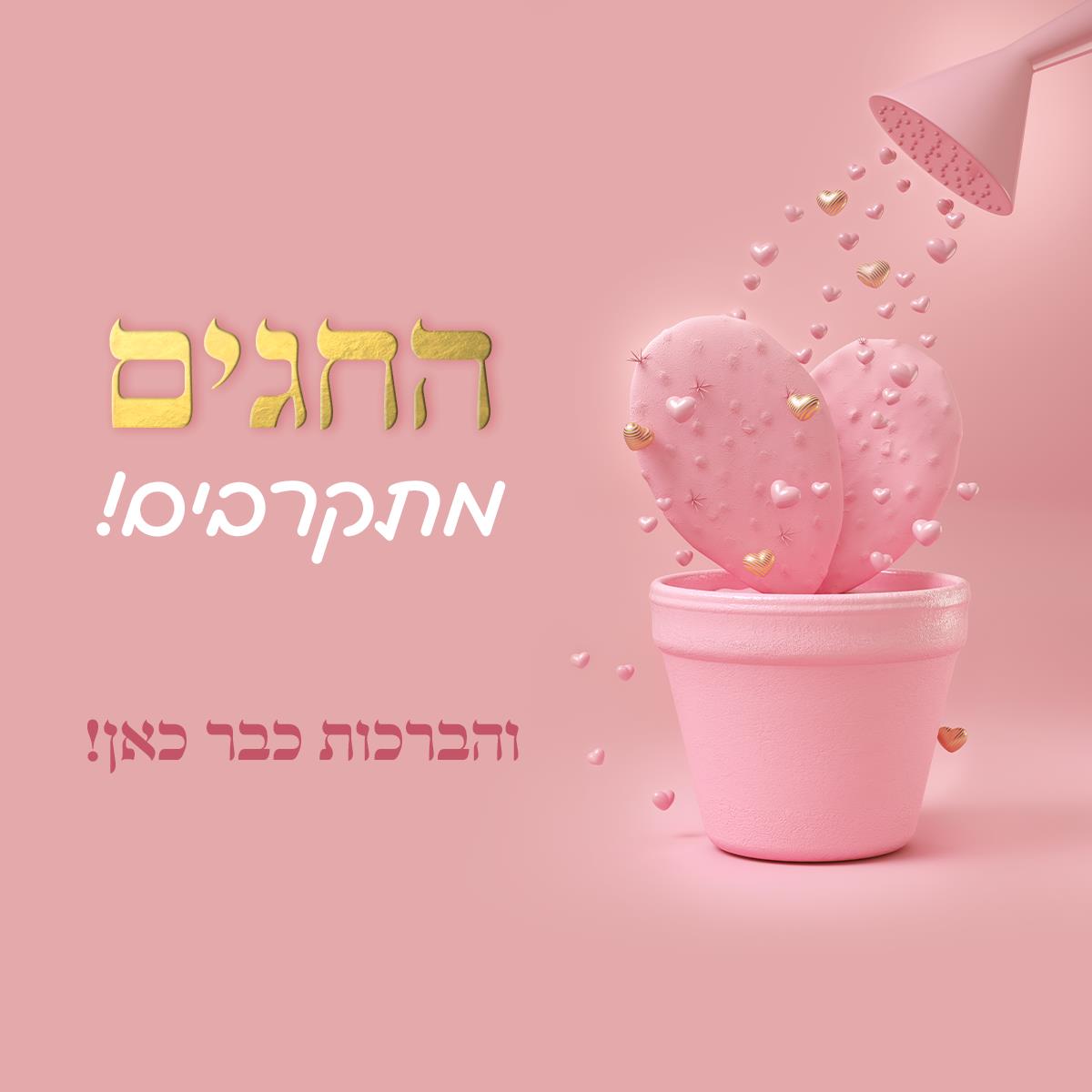 ברכות ממותגות לחגים