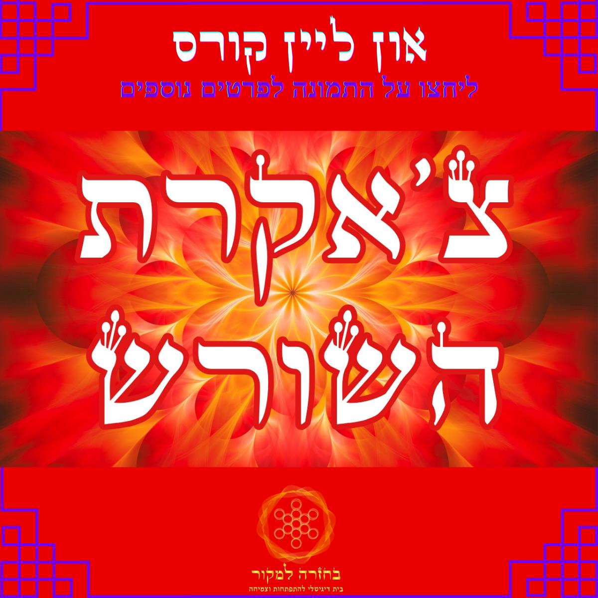 לאזן חרדה ולתעל כעס | קורס און ליין