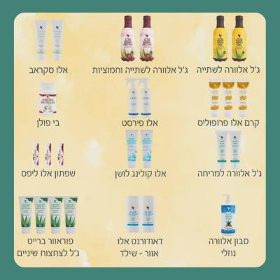 ערכה למתחיל