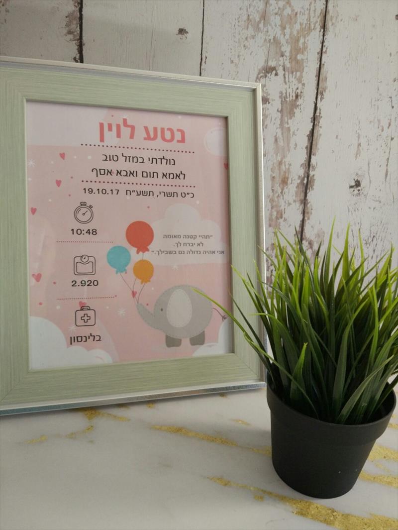 תעודת לידה