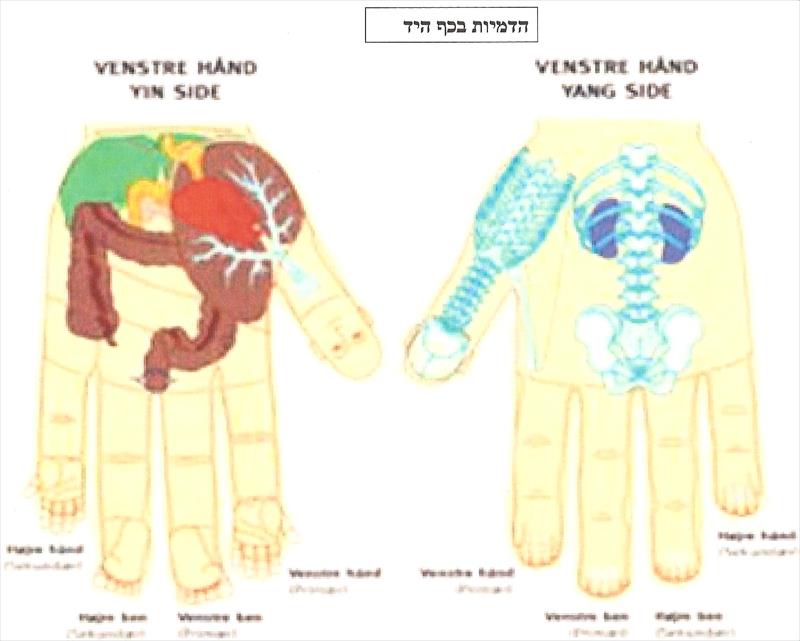 חבילת 12 טיפולים לחולה סוכרת