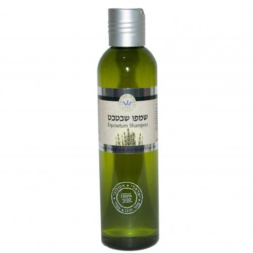 שמפו שבטבט 250ML