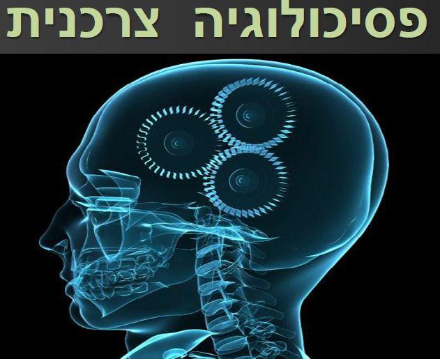 הרצאה על פסיכולוגיה צרכנית