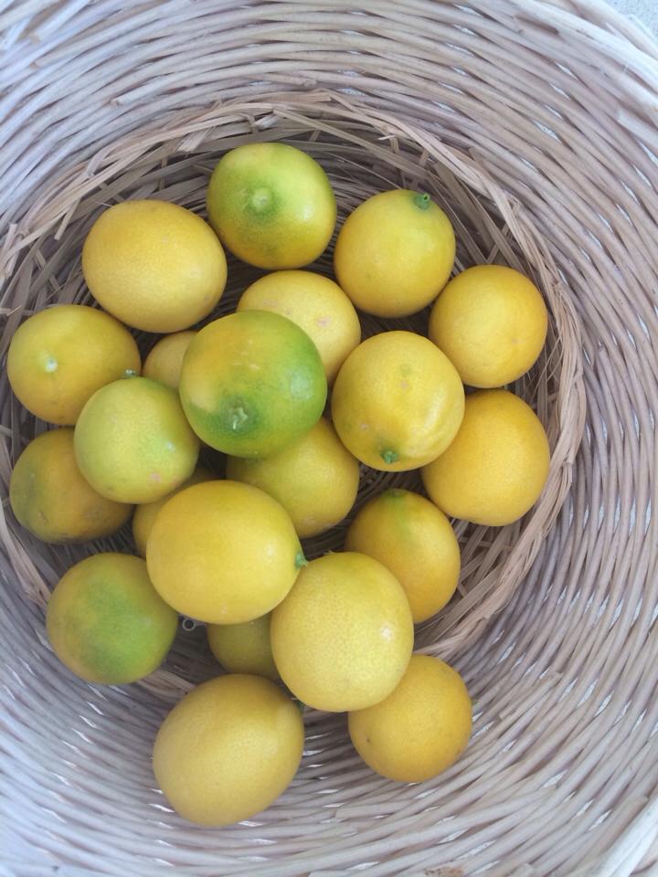 פגישת אימון קצרה ממוקדת