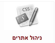 ניהול אתר אינטרנט