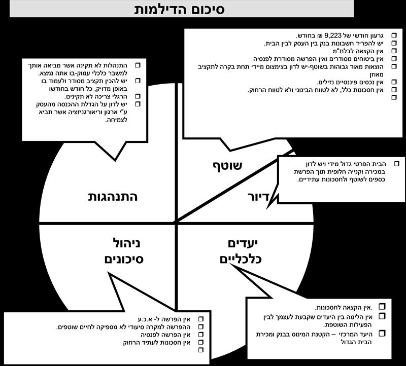 דוגמא לסיכום ביניים