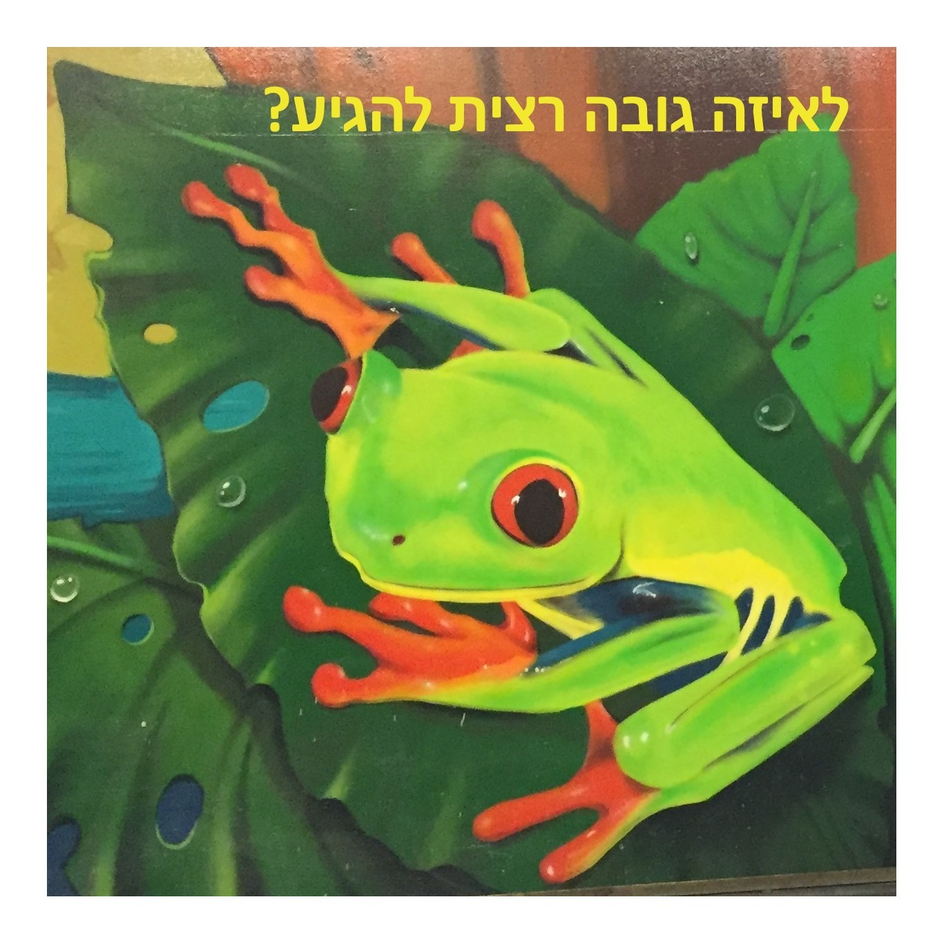 יצירת שם או סלוגן לעסק - מבצע נדיר לחברי ביז בלבד