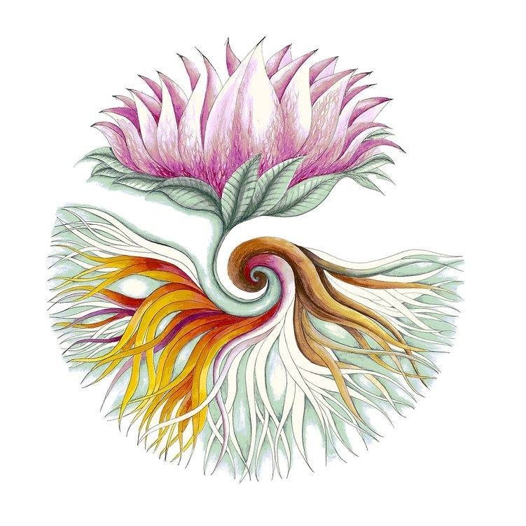 Spiritual Mandala - הדפסים Fine Art  אנרגטיים איכותיים לתלייה בבית ובמשרד.
