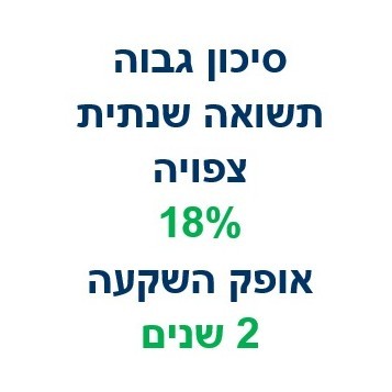 השקעות קצרות טווח