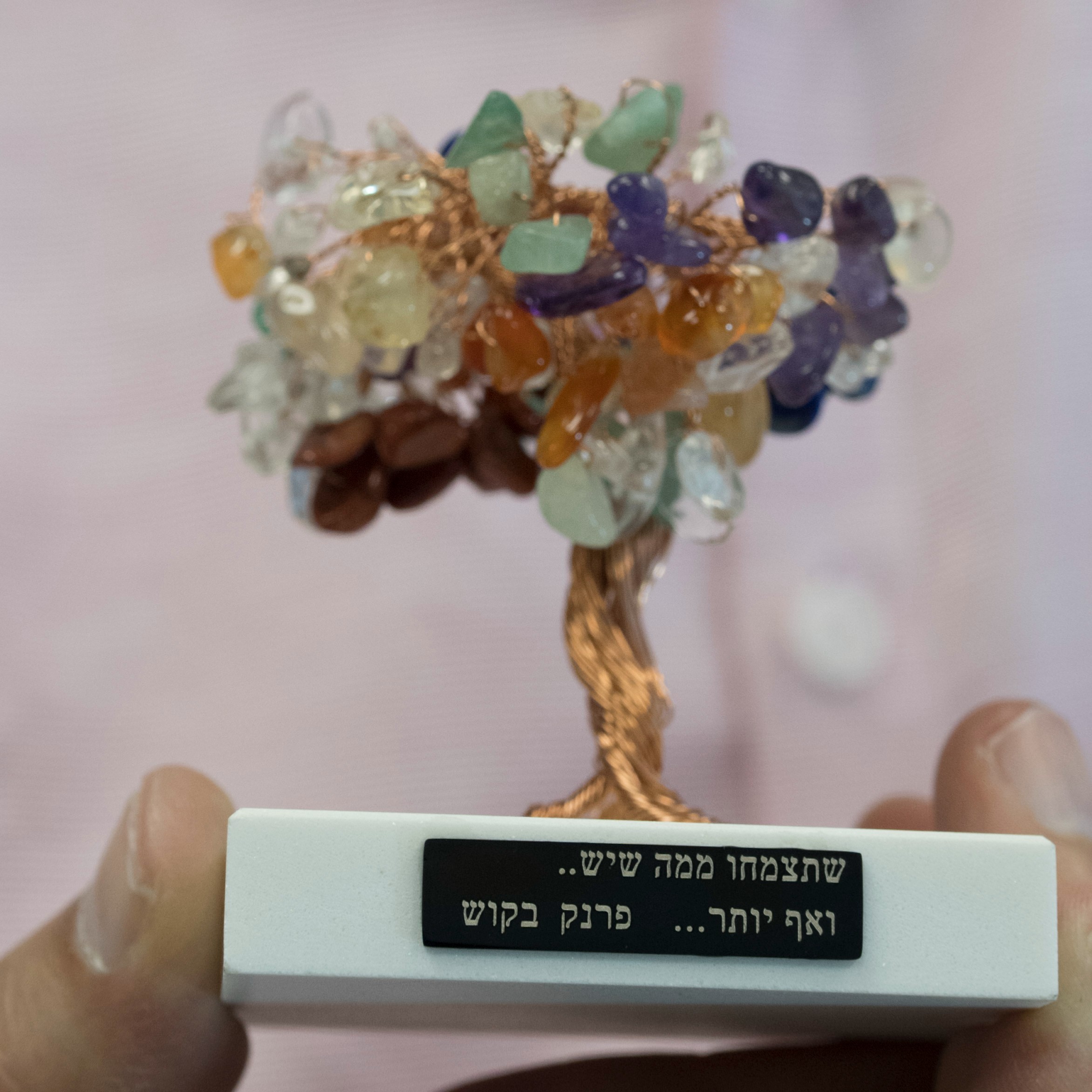 יעוץ כלכלי מקיף