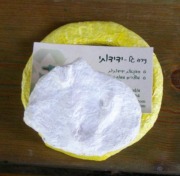 המעמד של נלי דניאל