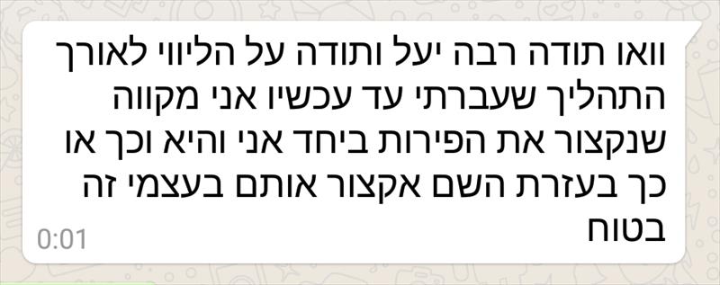 חוות דעת על ייעוץ זוגי