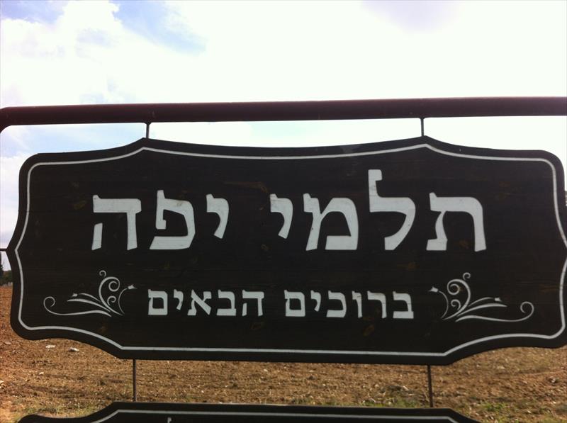 ניהול ענף הנוי במושב הקיבוצי תלמי-יפה