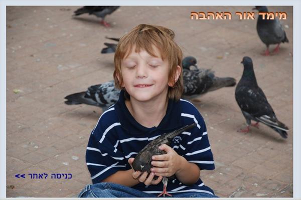 אתר עם פתיח פלאש ומוזיקה
