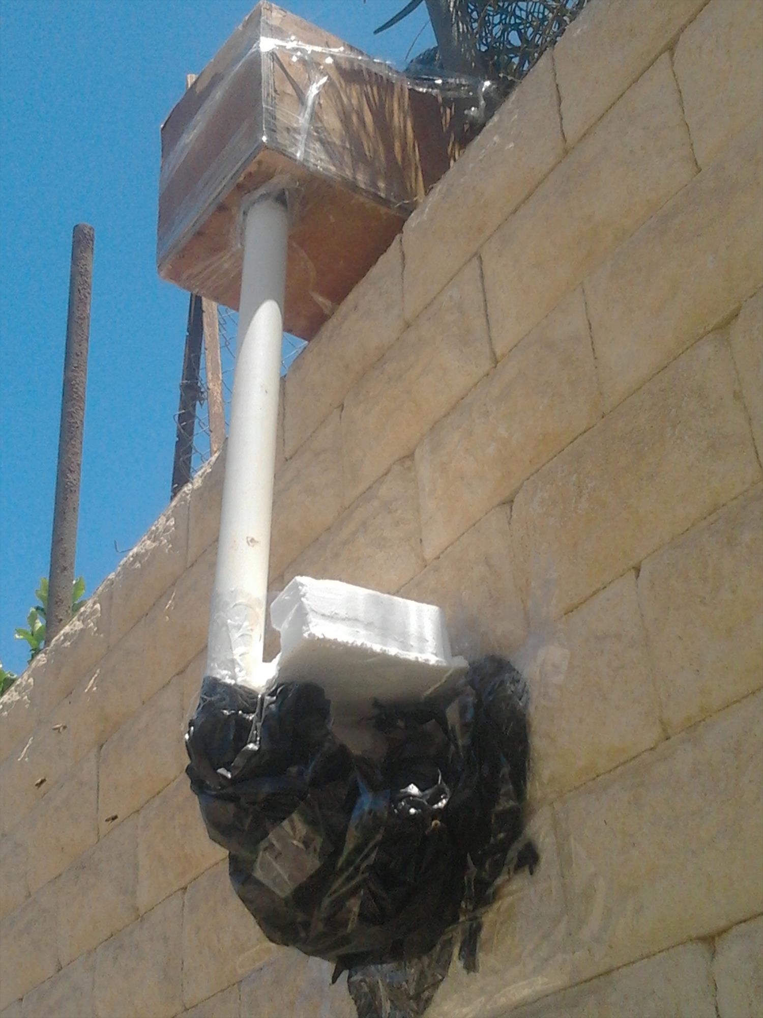 דבורה עוקצת פינוי נחילי דבורים רוני דבש באר שבע והדרום