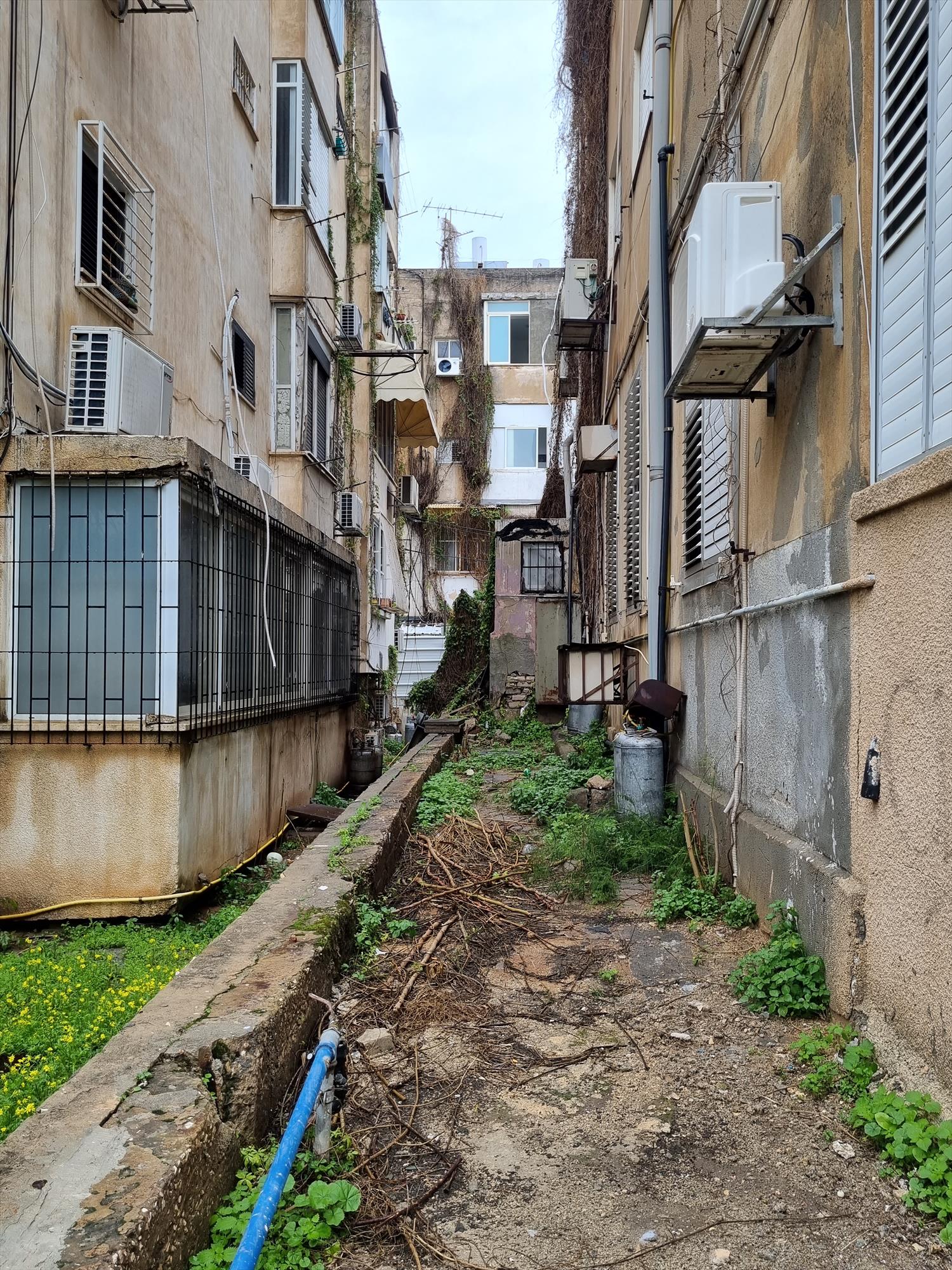 אמנית ציירת עכשווית מודרנית צילום דיוקן עצמי של הציירת האמנית הישראלית תמר קדם Tamar Kedem