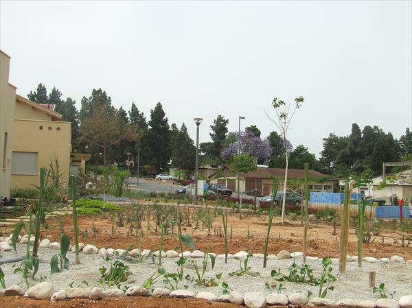 מערכת אגן ירוק המטפלת גם במי מטבח - בגבעת חיים - אז