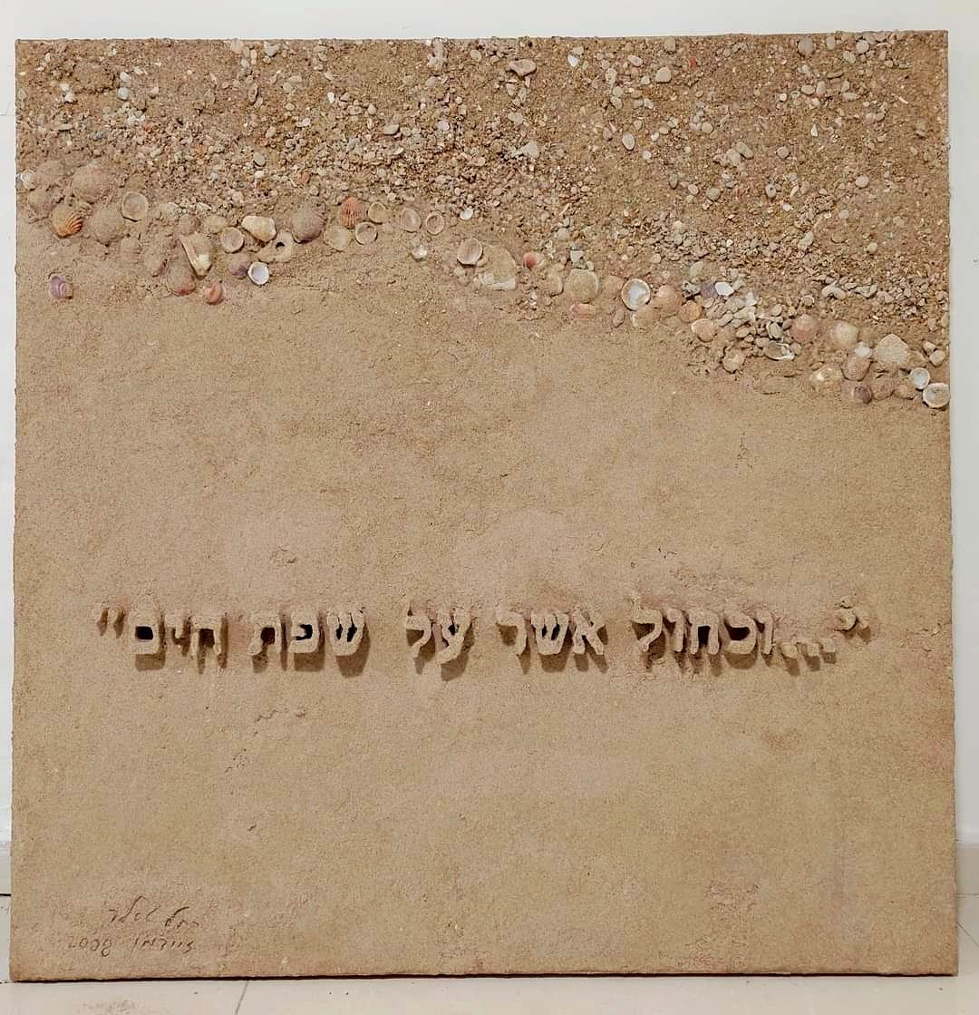 חול צדפים ועוד