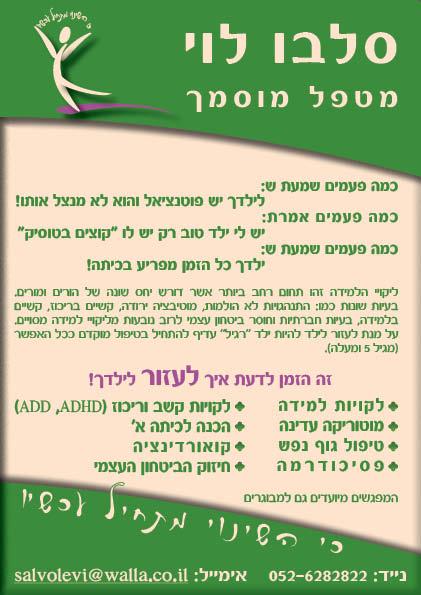 פלייר