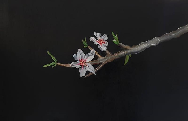 יחיאל וייס ענף השקד Yechiel Weiss The almond branch