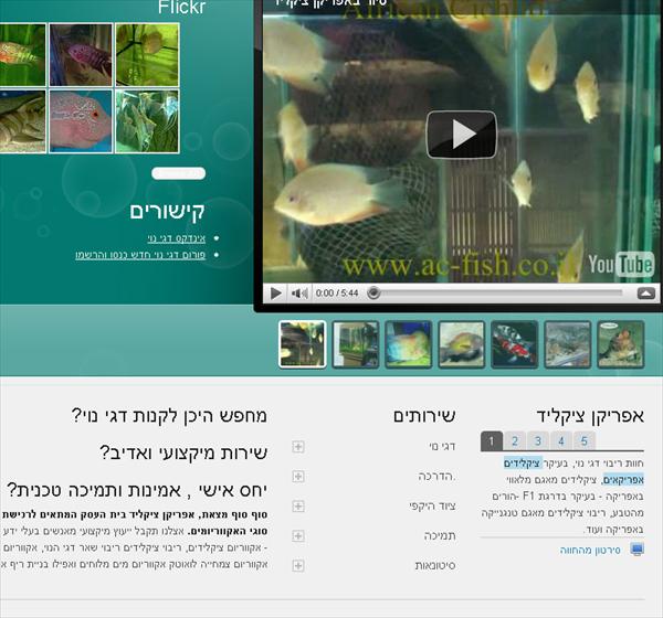 אתר אינטרנט אפריקן-ציקליד