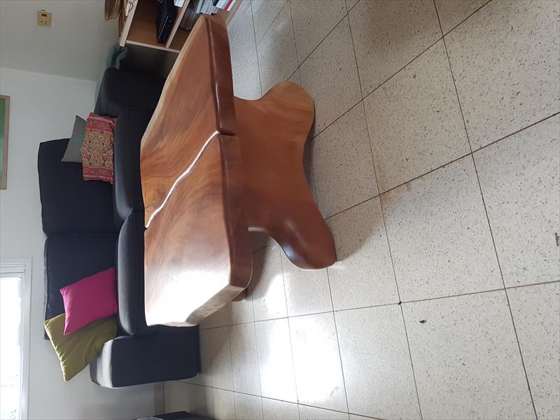 שולחן סלון מעץ פראי