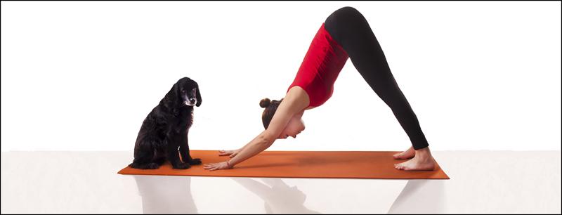 Tamar carmel- Yoga teaher