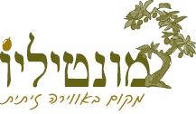 לוגו