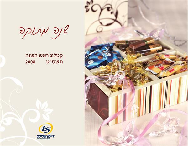 עיצוב קטלוג ליימן סליישל