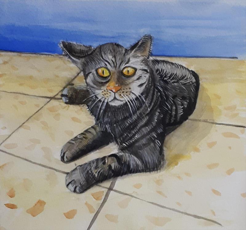 יחיאל וייס ציור חתול אקוורל Yehiel Weiss drawing a watercolor cat