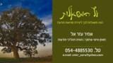 אימון צוותי