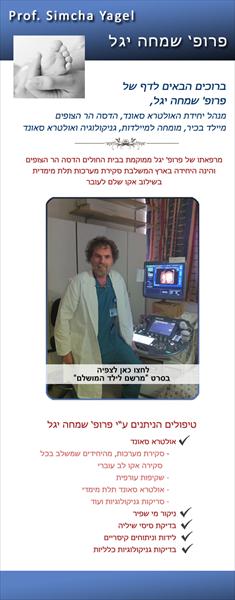 פרופ' שמחה יגל - מיני אתר בפייסבוק