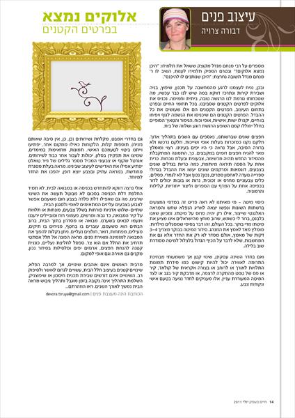 טור עיצוב פנים גיליון יולי 2011