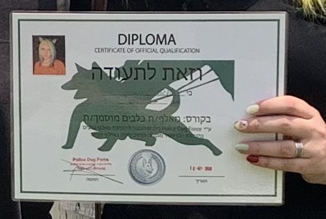 תעודת הכשרה