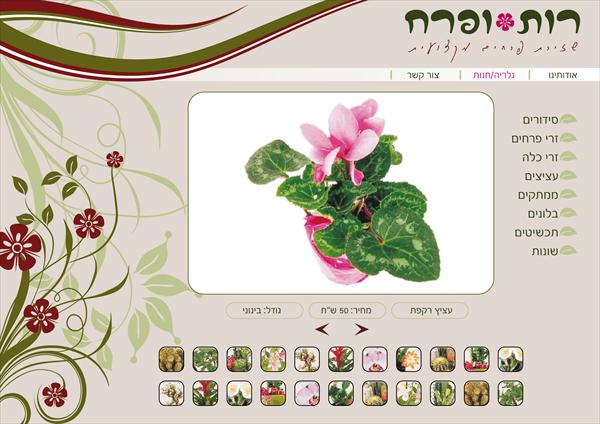 עיצוב אתר
