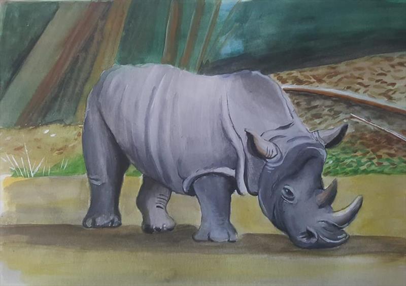 יחיאל וייס צייר קרנף אקוורל Yehiel Weiss painted a rhino aquarelle
