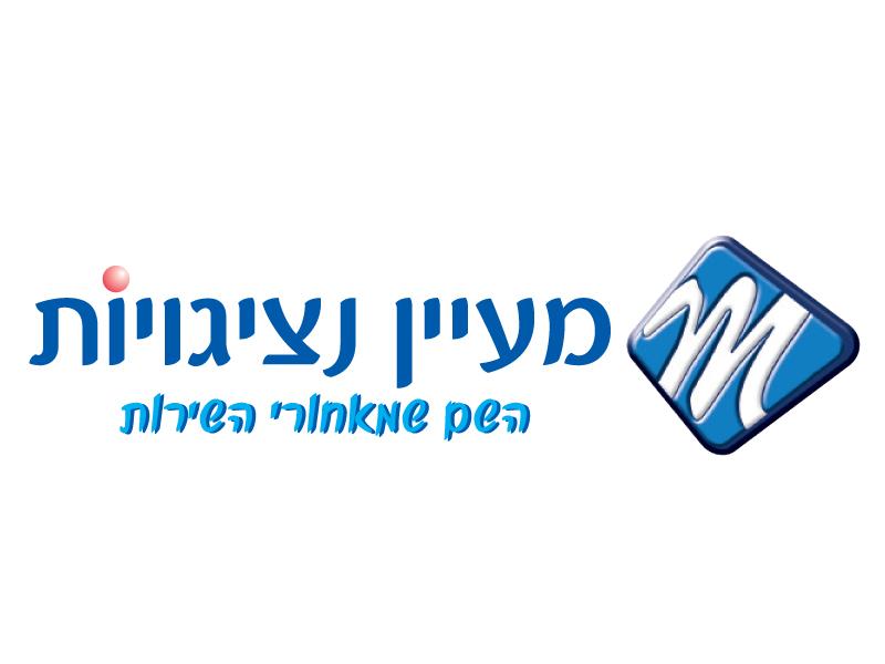 מעיין נציגיות