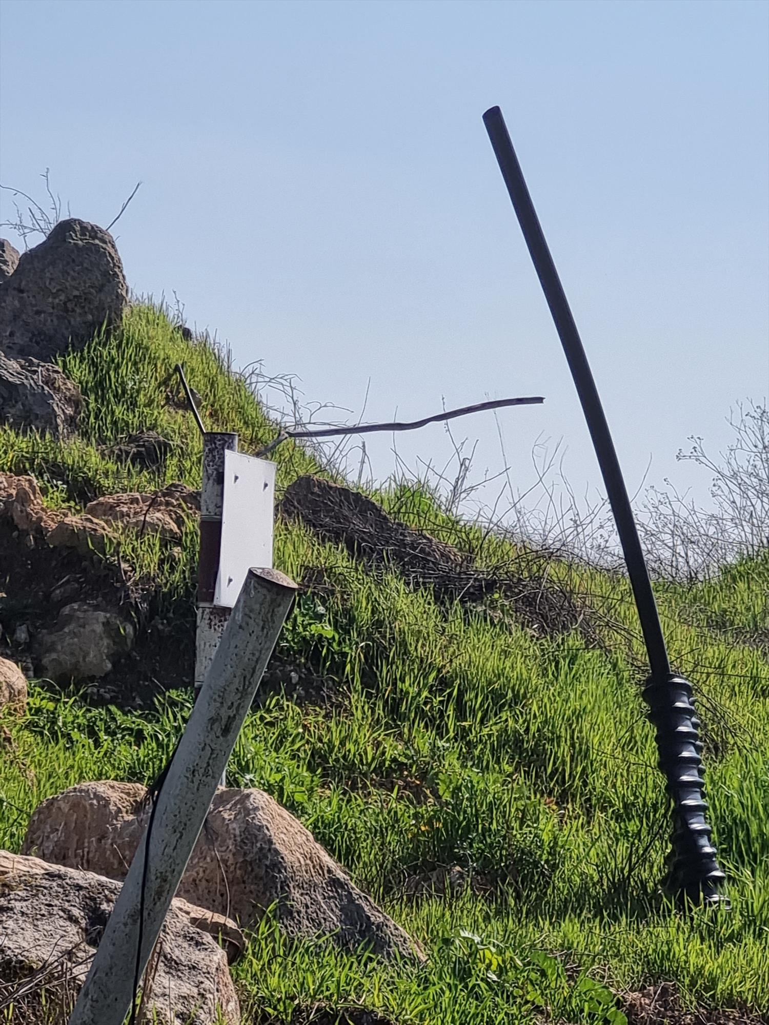 ציירות מקוריות חדשניות צילום דיוקן עצמי של הציירת האמנית הישראלית תמר קדם Tamar Kedem