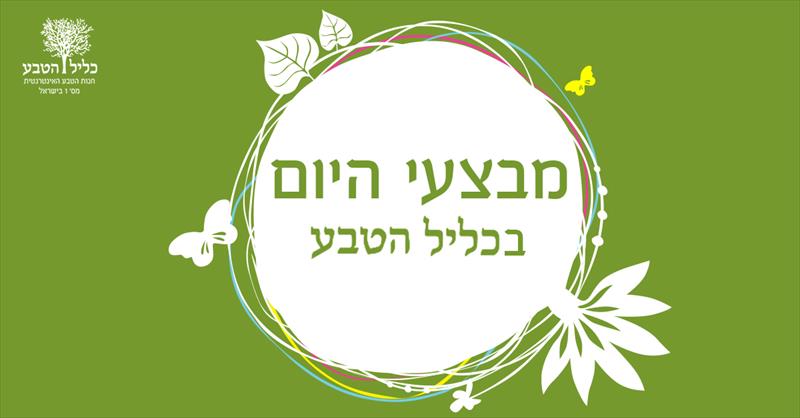 עיצוב פוסט