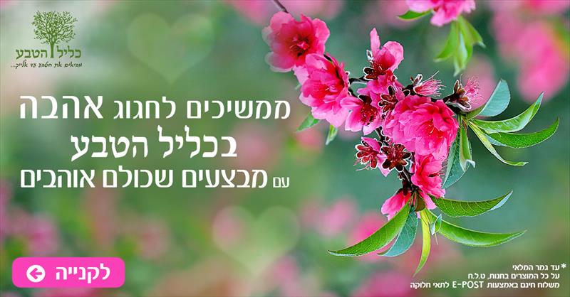 עיצוב פוסט