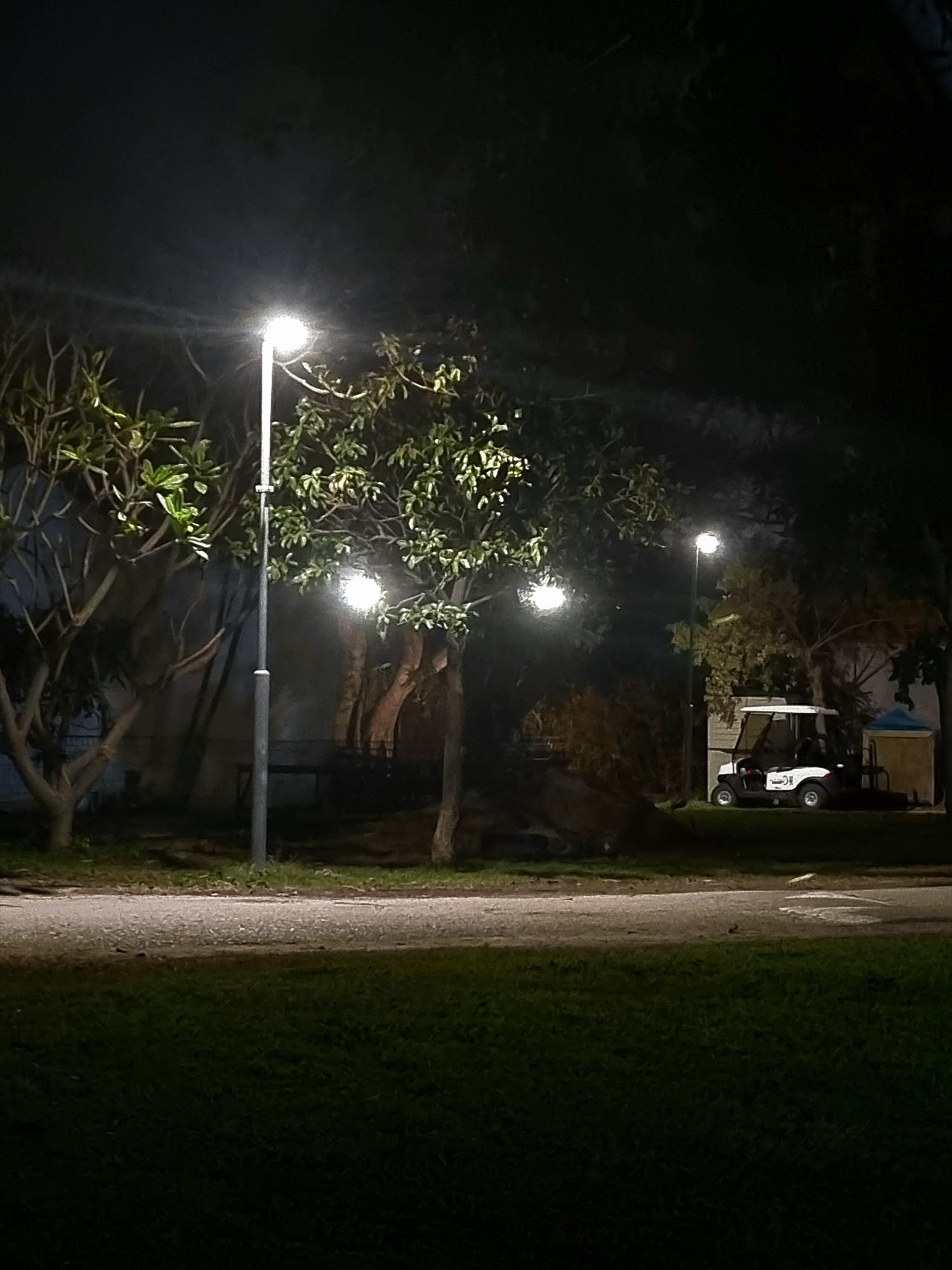 ציירות אמניות ישראליות צילום דיוקן עצמי של הציירת האמנית הישראלית תמר קדם Tamar Kedem